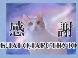Sticker from боччи2