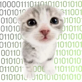 👨‍💻 emoji меня зовут степан Telegram sticker 17 of 35