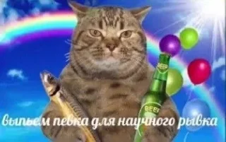 🍺 emoji OneAss starterpack Telegram sticker 22 of 38