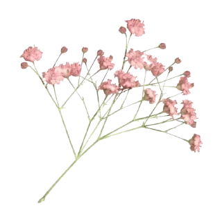 🌸 emoji тгк: @liyaflow Telegram sticker 23 of 39