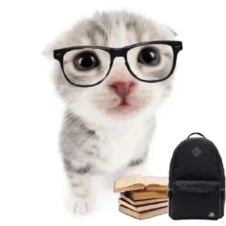 🤓 emoji тгк: @liyaflow Telegram sticker 6 of 39