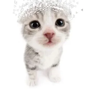 тгк: @liyaflow sticker 4