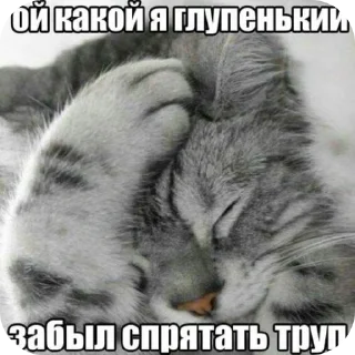 Sticker from Я смешон