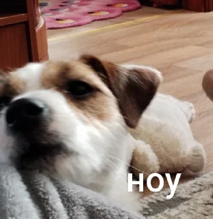 😊 emoji ника жопа Telegram sticker 24 of 52