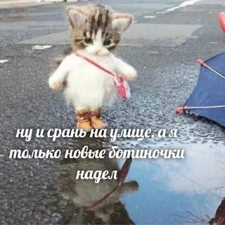 Sticker from переговоры с леной