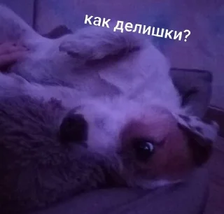 ☺️ emoji ника жопа Telegram sticker 7 of 52