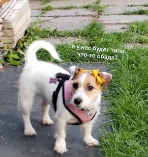 😊 emoji ника жопа Telegram sticker 6 of 52