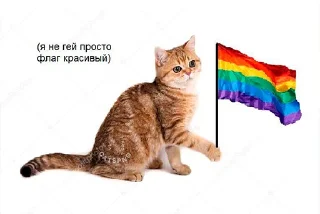 🐈 emoji радужни стикерпак 🏳️‍🌈 @miaowmere Telegram sticker 12 of 28