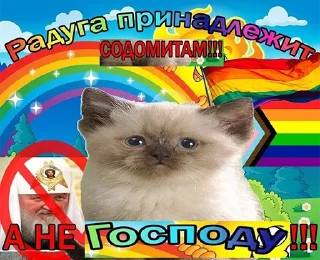 🌈 emoji радужни стикерпак 🏳️‍🌈 @miaowmere Telegram sticker 24 of 28