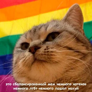 😼 emoji радужни стикерпак 🏳️‍🌈 @miaowmere Telegram sticker 6 of 28