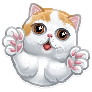 WTF sticker 4