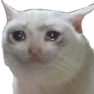 🥺 emoji Android Home Telegram sticker 17 of 44
