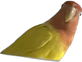 🤨 emoji Подкаст під під‘їздом Telegram sticker 17 of 31