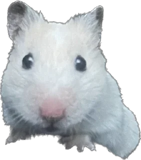 🥺 emoji Подкаст під під‘їздом Telegram sticker 7 of 31