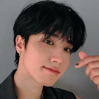 🫰 emoji Stray kids by @Ministrelia_98 Telegram sticker 12 of 73