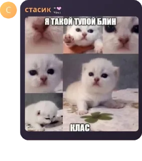 ♌ emoji Стикеры pack by @QuotLyBot Telegram sticker 16 of 80