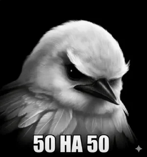 🌟 emoji Птички Telegram sticker 23 of 30