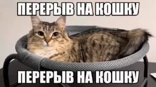 черкаши @kuliechmok sticker 1