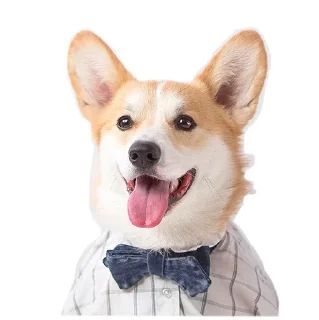 Sticker from Corgis @stickersb2b