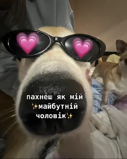 Sticker from Спрей