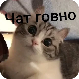 Sticker from Спрей от комара
