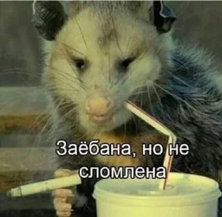 💪 emoji дэбилушко Telegram sticker 20 of 67