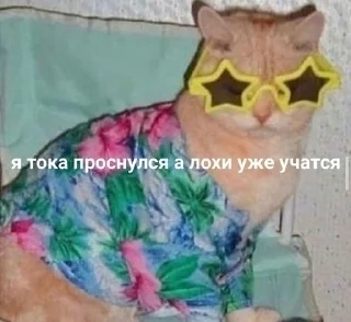 Sticker from дэбилушко