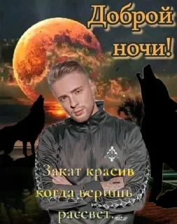 🐺 emoji дэбилушко Telegram sticker 14 of 67