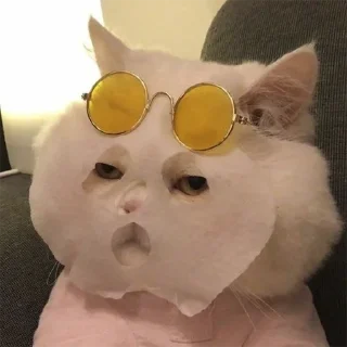😐 emoji ПакКекыч Telegram sticker 22 of 80