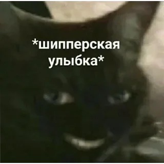 Sticker from ПакКекыч