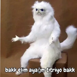 😖 emoji @Perfettoooooo @DTOUserBot Paketi 1 Telegram sticker 3 of 68