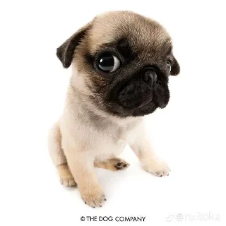 🥲 emoji Пиздатый стикерпак Telegram sticker 11 of 34