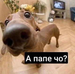 😄 emoji Пиздатый стикерпак Telegram sticker 15 of 34