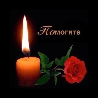 💀 emoji капибары уже бэйсик Telegram sticker 9 of 120
