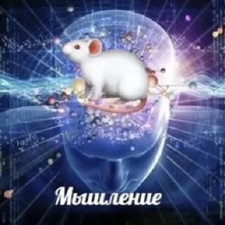 🧠 emoji капибары уже бэйсик Telegram sticker 19 of 120