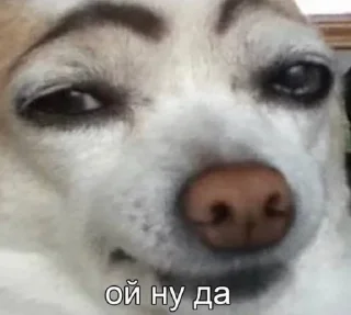 👀 emoji Жизнь Telegram sticker 14 of 72