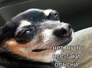 👀 emoji Жизнь Telegram sticker 17 of 72