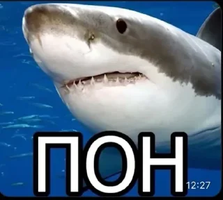 🤔 emoji П Telegram sticker 8 of 21