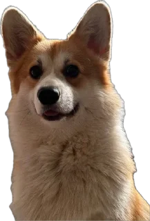 Sticker from Charlie’s Mood Pack
