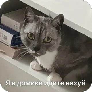 😒 emoji Стики босса художки Telegram sticker 9 of 107