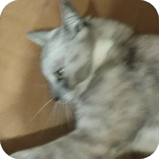 🤬 emoji Стики босса художки Telegram sticker 6 of 107