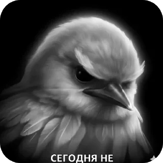 🐦 emoji птички --> @kushinft Telegram sticker 19 of 76