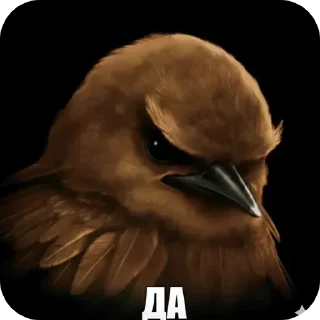 🐦 emoji птички --> @kushinft Telegram sticker 10 of 76