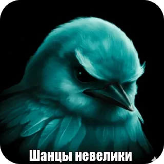🐦 emoji птички --> @kushinft Telegram sticker 14 of 76