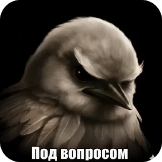 🐦 emoji птички --> @kushinft Telegram sticker 18 of 76