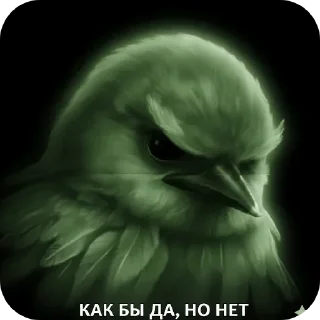 🐦 emoji птички --> @kushinft Telegram sticker 15 of 76
