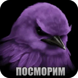 🌟 emoji птички --> @kushinft Telegram sticker 23 of 76