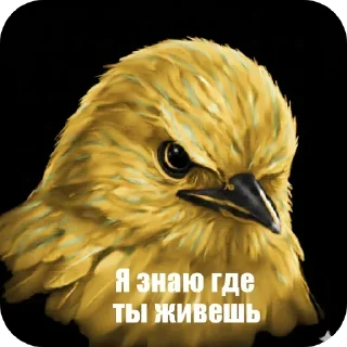 🐦 emoji птички --> @kushinft Telegram sticker 13 of 76