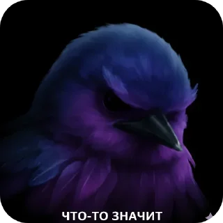 🌸 emoji птички --> @kushinft Telegram sticker 17 of 76