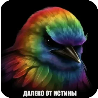 🐦 emoji птички --> @kushinft Telegram sticker 12 of 76